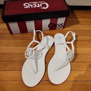 Circus By Sam Edelman Women's Thong Flat Sandals (Size 6)
